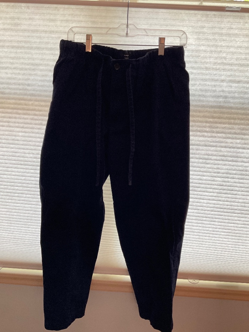 Banana Republic Navy M pant